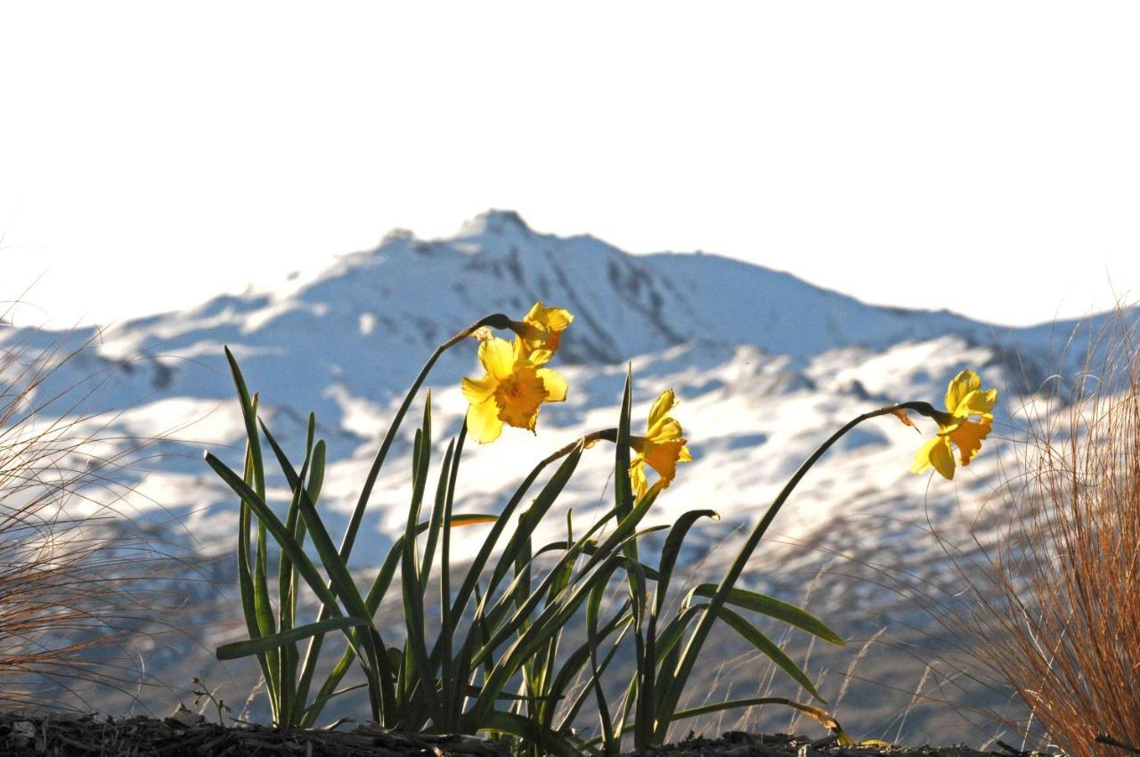 Hawkridge Alpine Suite ควีนส์ทาวน์ ภายนอก รูปภาพ