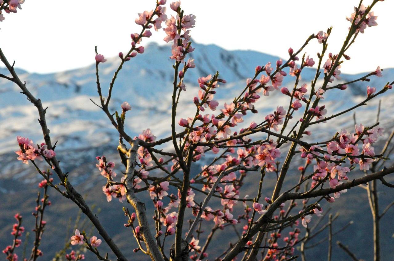 Hawkridge Alpine Suite ควีนส์ทาวน์ ภายนอก รูปภาพ
