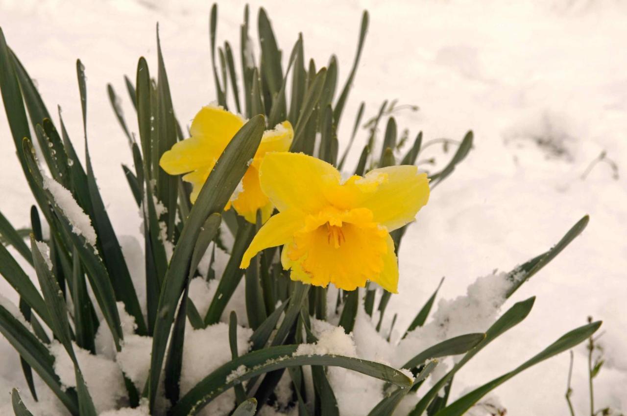 Hawkridge Alpine Suite ควีนส์ทาวน์ ภายนอก รูปภาพ