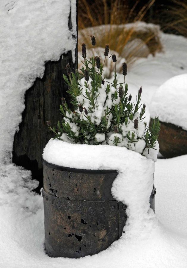 Hawkridge Alpine Suite ควีนส์ทาวน์ ภายนอก รูปภาพ